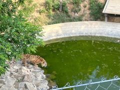 -石家庄市动物园