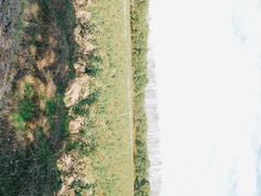 -海上花岛玫瑰园采摘