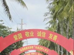 -万绿园