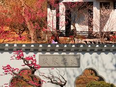 -无锡梅园公园