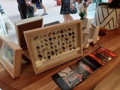 -二酉书店TOYOU BOOKS