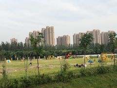 -菊园百果园