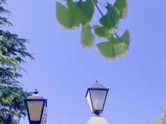 -北京基督教会缸瓦市堂