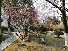 -白塘生态植物园
