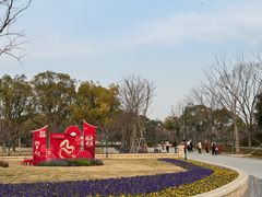 -新江湾城公园