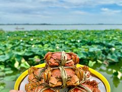 -七的湖·晚芳亭·阳澄湖农家菜·大闸蟹(莲花岛店)