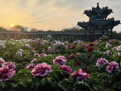 -水邑嘉年华酒店·中餐部(鄄城店)