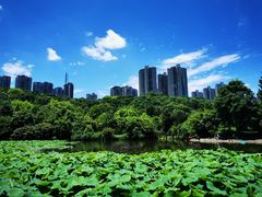 -龙头寺公园