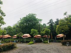 -汤山温泉房车营地 茶温泉