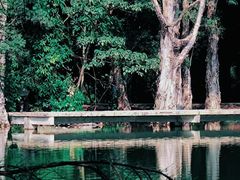 -中国科学院华南植物园