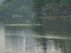 -重庆彩云湖湿地公园