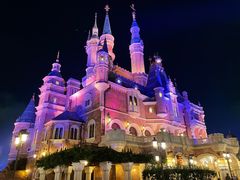 -上海迪士尼度假区