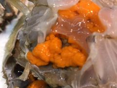 -浙C老邻舍(西城海错店)
