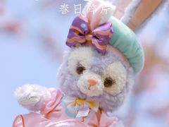 -顾村公园