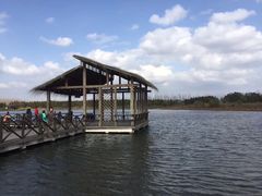 -溱湖国家湿地公园