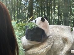-杭州野生动物世界