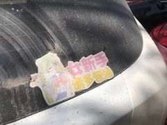 -顺壹匠心BOP保镖隐形车衣(天津专营店)