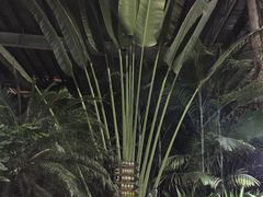 -龙达温泉生态城