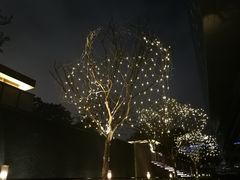 -深圳四季酒店·馥自助餐厅