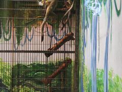 -鄂尔多斯野生动物园