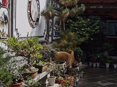 -璞真扎染博物馆