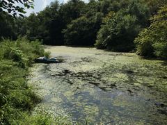 景点-沈阳植物园