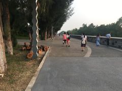 -宝安西湾红树林湿地公园