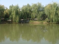 DSC03616-定园