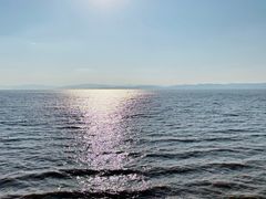 -捞渔河湿地公园