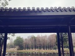 -洋湖国家湿地公园