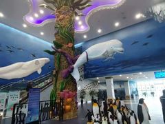 -芜湖新华联大白鲸海洋公园