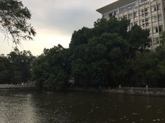 -广西大学(大学东路校区)
