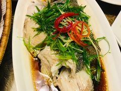 -老广酒楼(樱花店)