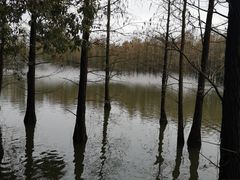 -尚湖风景区