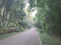 -重庆彩云湖湿地公园