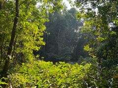 -中国科学院西双版纳热带植物园