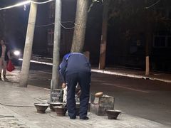 -鞍山戰