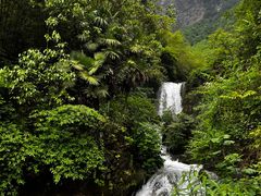 -鹿院坪生态旅游景区