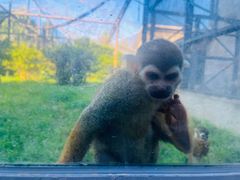 -石家庄市动物园