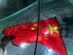 -杭州海底世界
