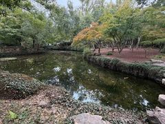 -秋霞圃