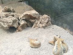 -昆明动物园