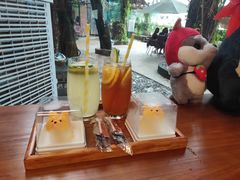 -柴犬高等学院·狗咖·柴犬售卖·宠物训练