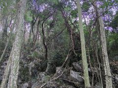 -九曜山
