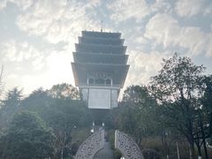 -临平公园(临平街道)