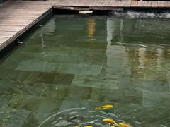 -觀芷隐轩