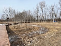 -东郊湿地公园