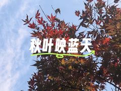 -南京市江宁方山