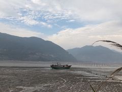 -北岐滩涂