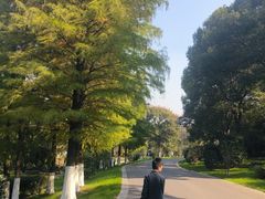 -太子山公园(园东路)